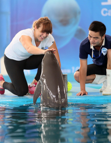 从市场反应 从市场反应