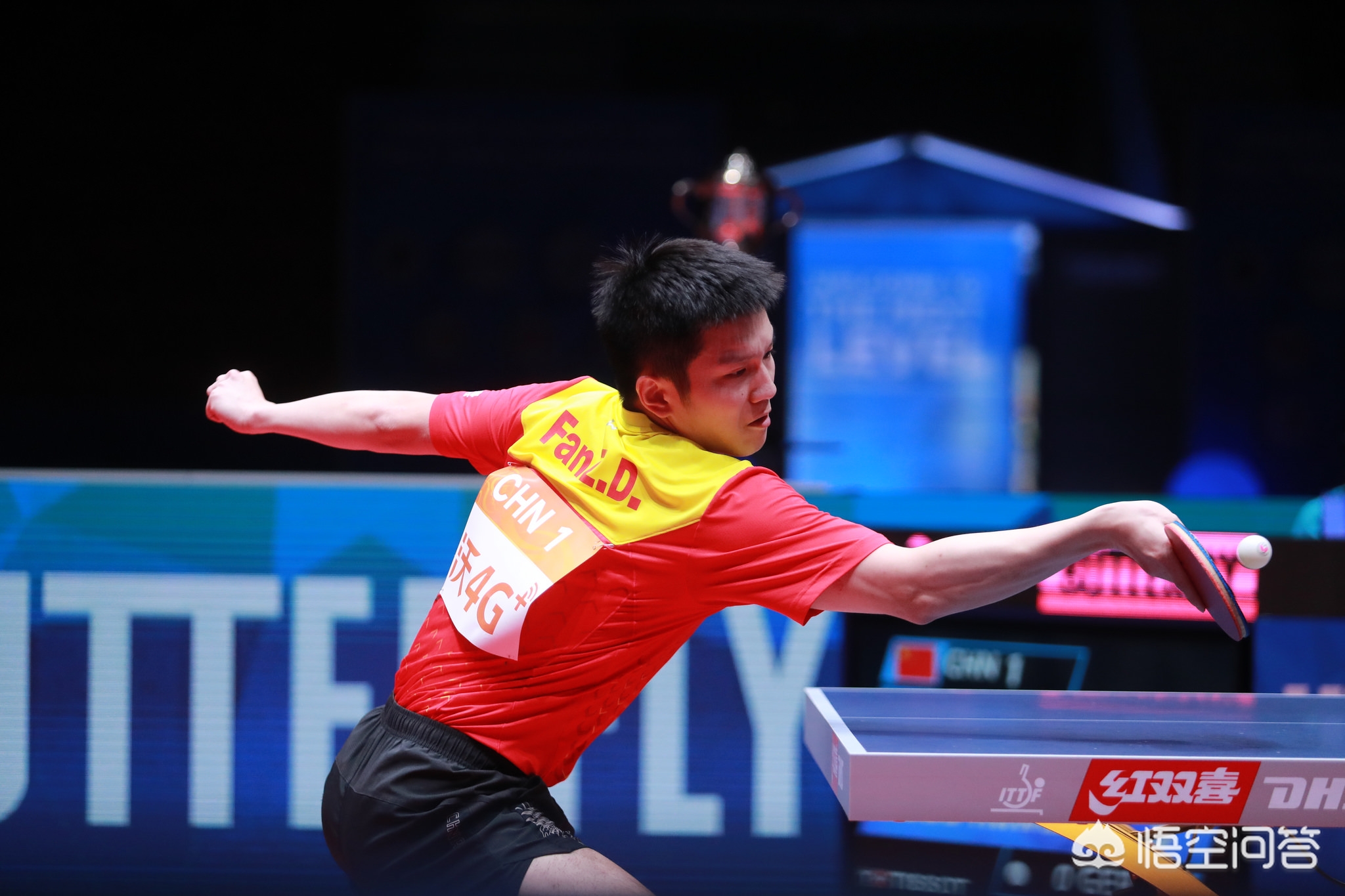 多个知名赛 多个知名赛